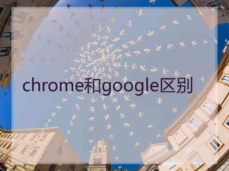 chrome和google区别