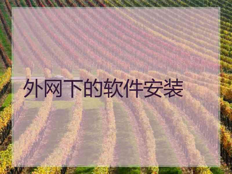 外网下的软件安装