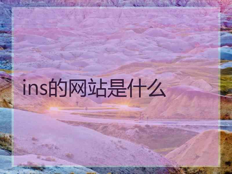 ins的网站是什么