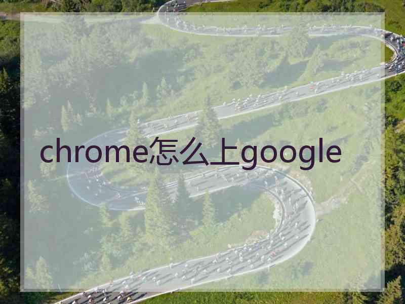 chrome怎么上google