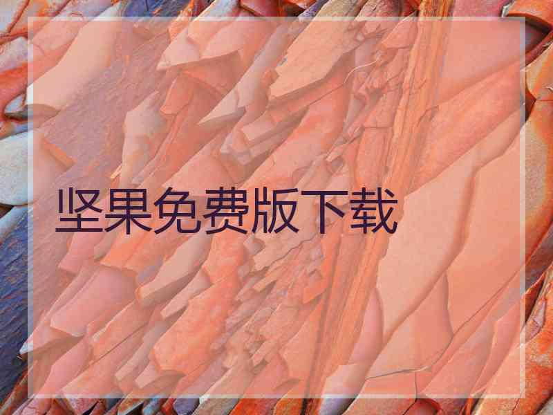 坚果免费版下载