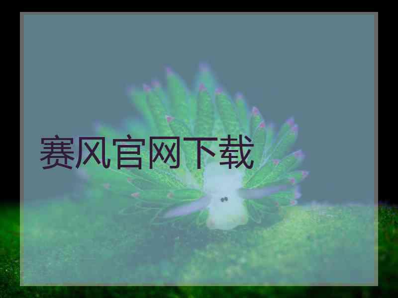 赛风官网下载