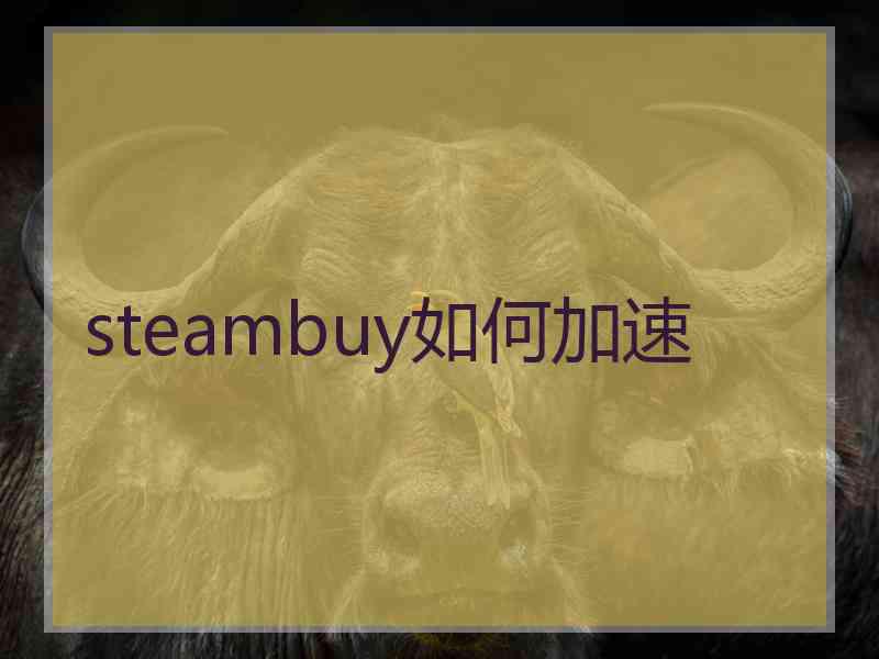 steambuy如何加速