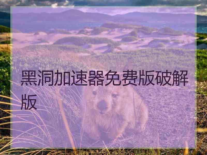 黑洞加速器免费版破解版