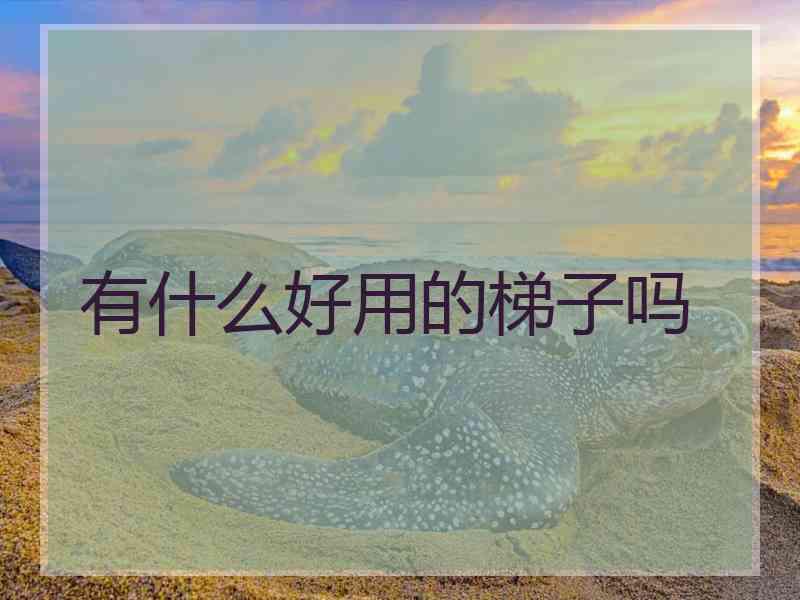 有什么好用的梯子吗
