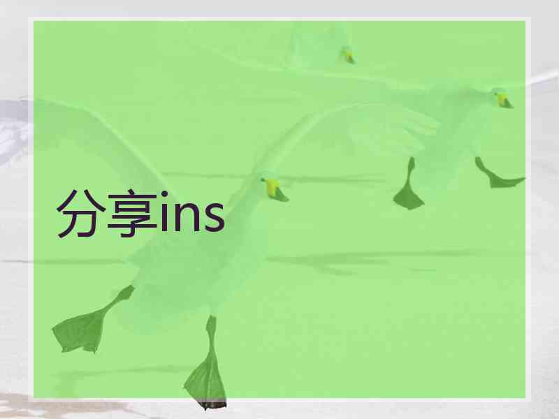 分享ins