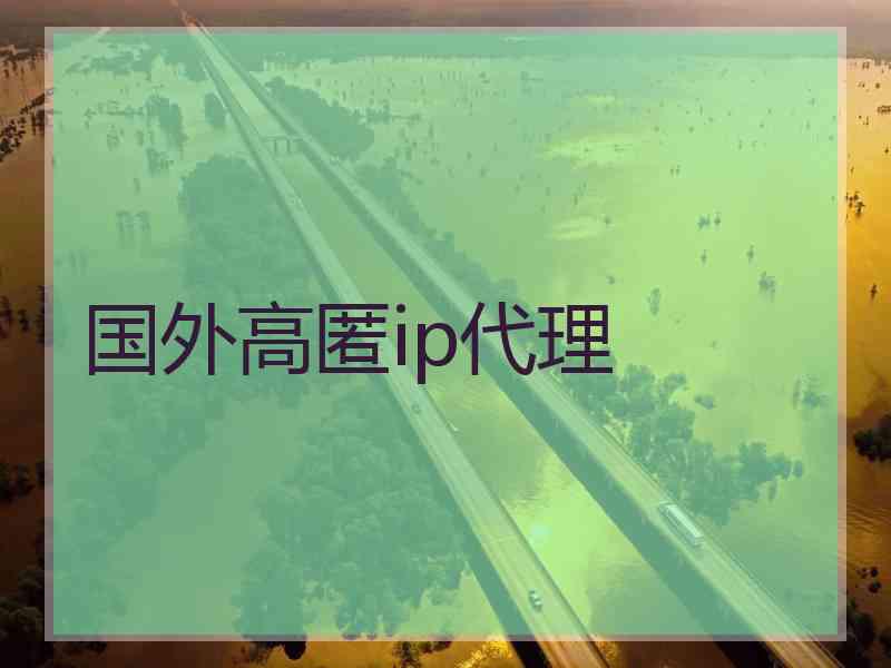 国外高匿ip代理