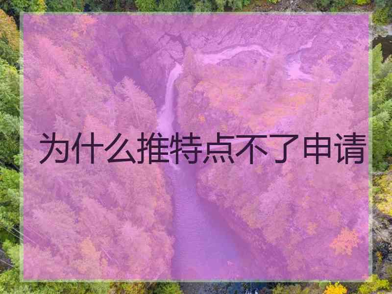 为什么推特点不了申请