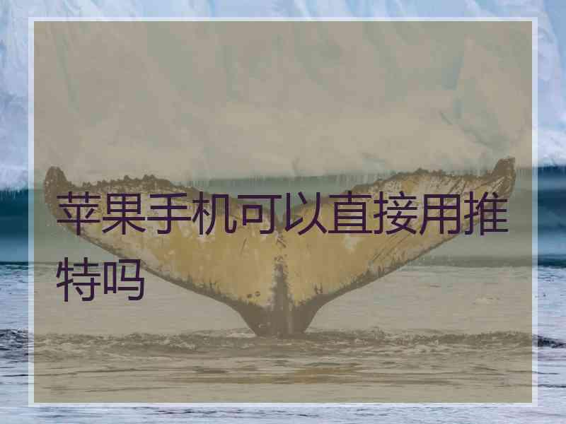 苹果手机可以直接用推特吗