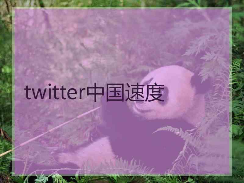 twitter中国速度