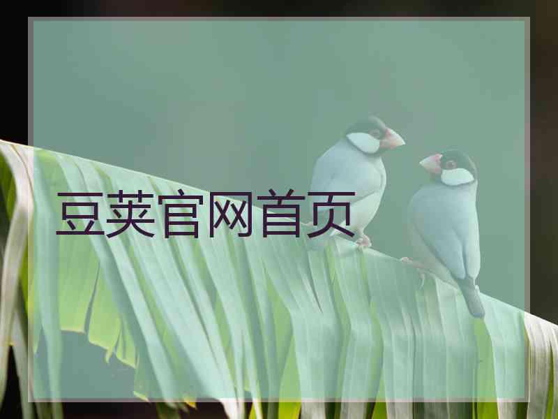 豆荚官网首页