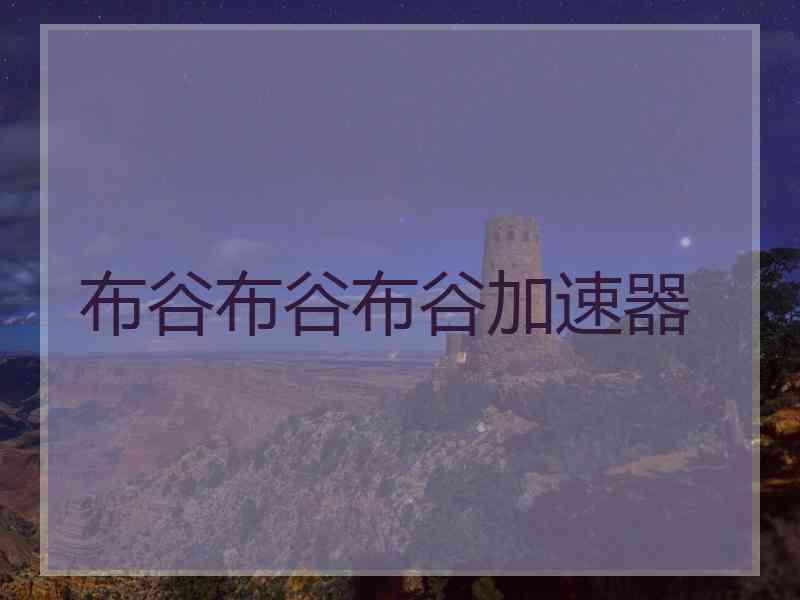 布谷布谷布谷加速器