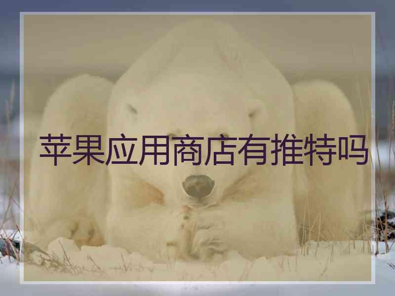 苹果应用商店有推特吗