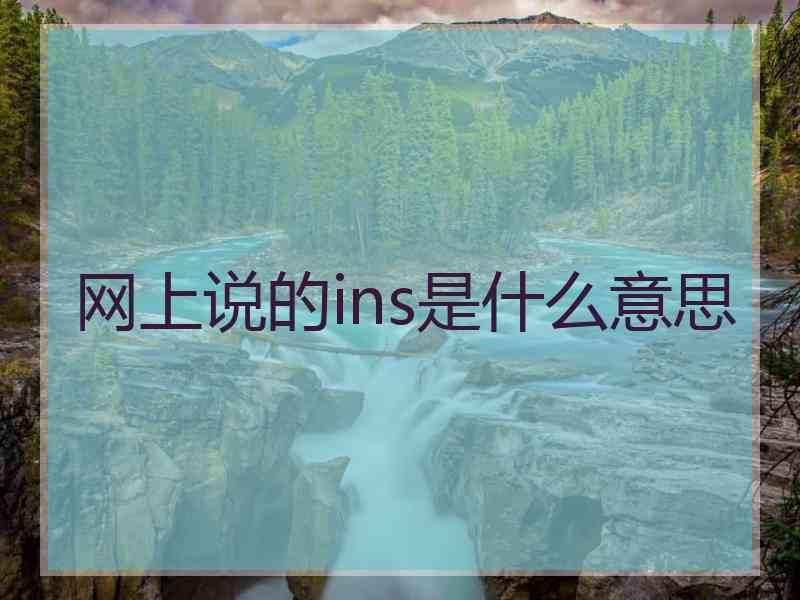 网上说的ins是什么意思