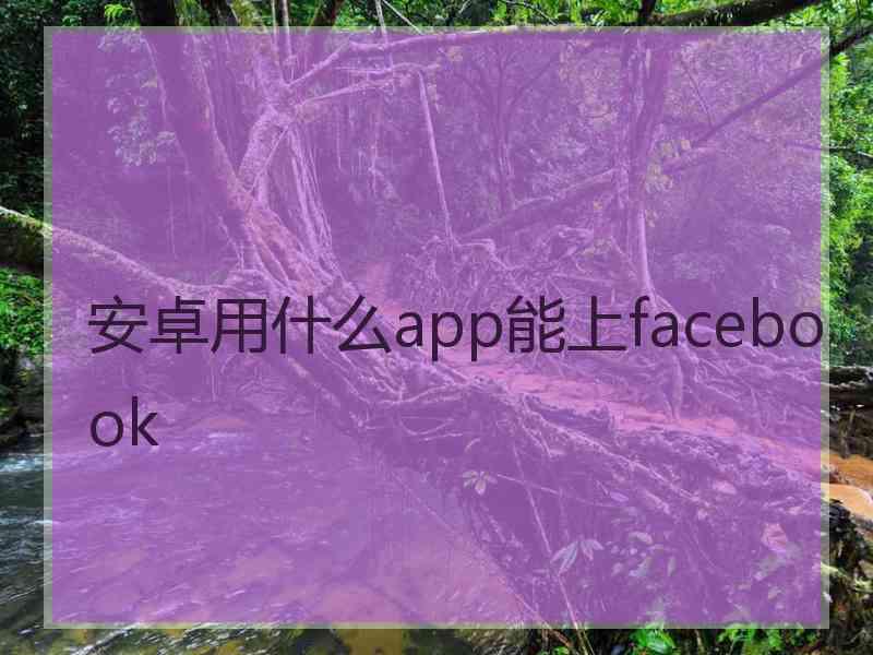 安卓用什么app能上facebook