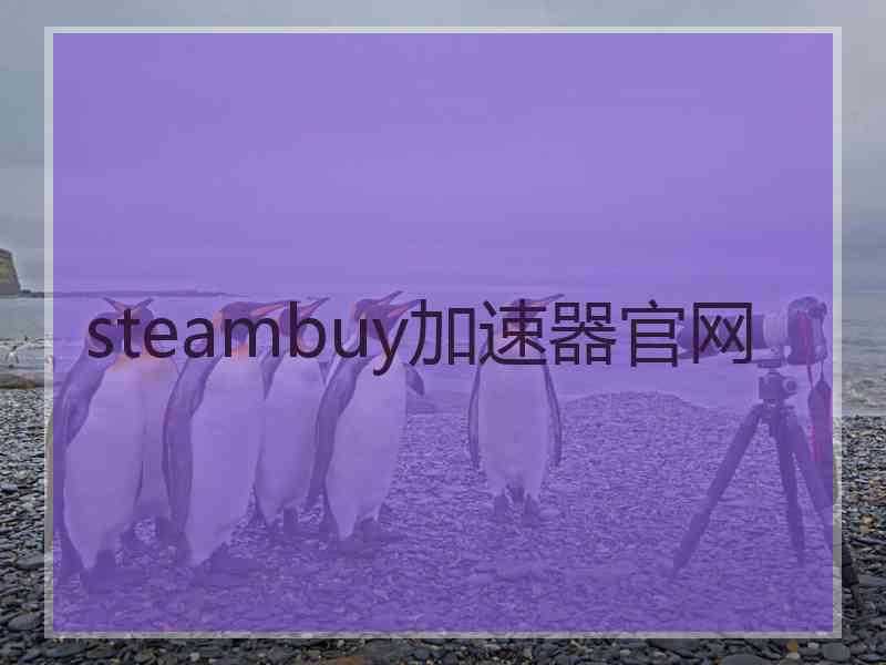 steambuy加速器官网
