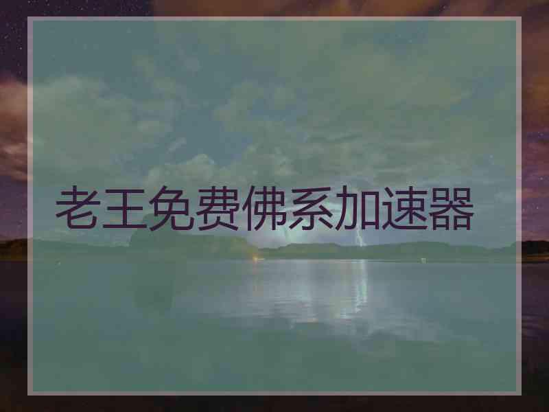 老王免费佛系加速器