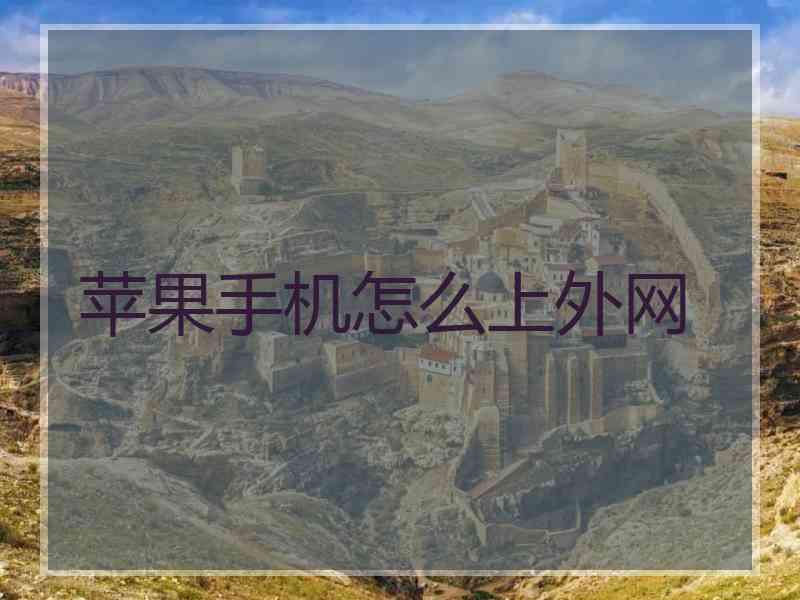 苹果手机怎么上外网