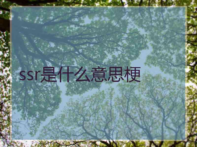 ssr是什么意思梗