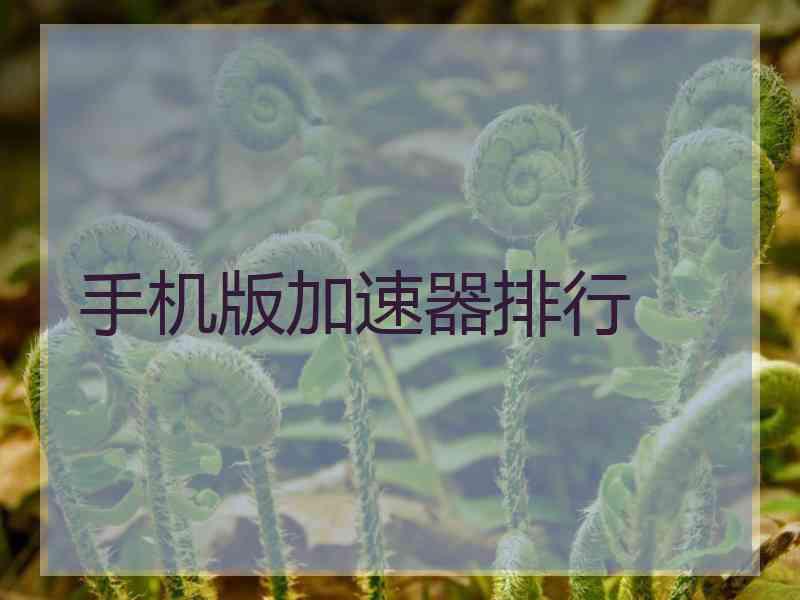 手机版加速器排行