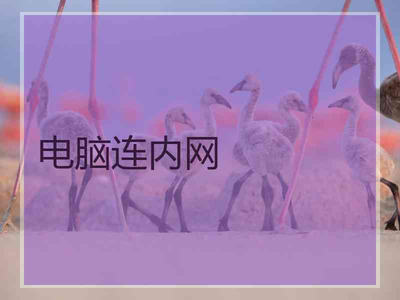 电脑连内网