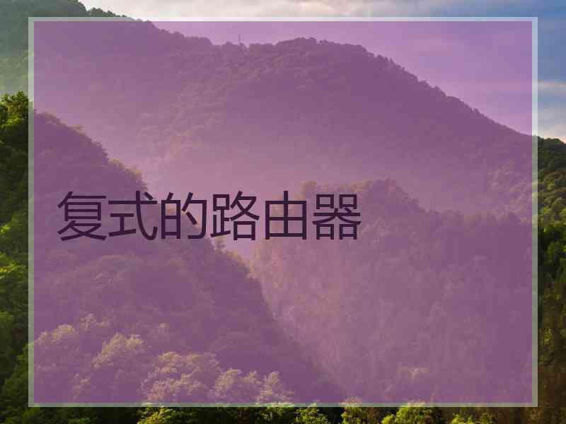 复式的路由器