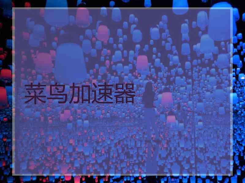 菜鸟加速器