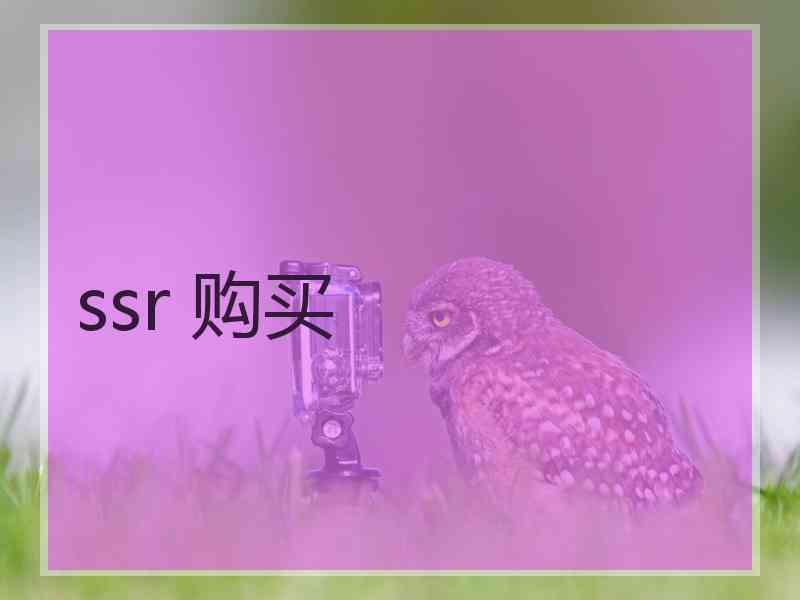 ssr 购买